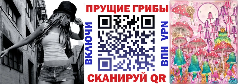 Псилоцибиновые грибы Psilocybine cubensis  Тюкалинск 