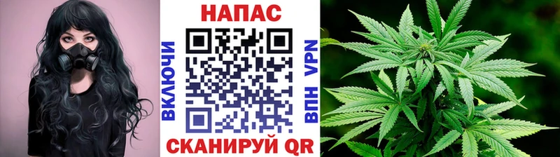 Конопля OG Kush  Тюкалинск 